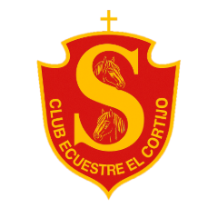 Sitio web